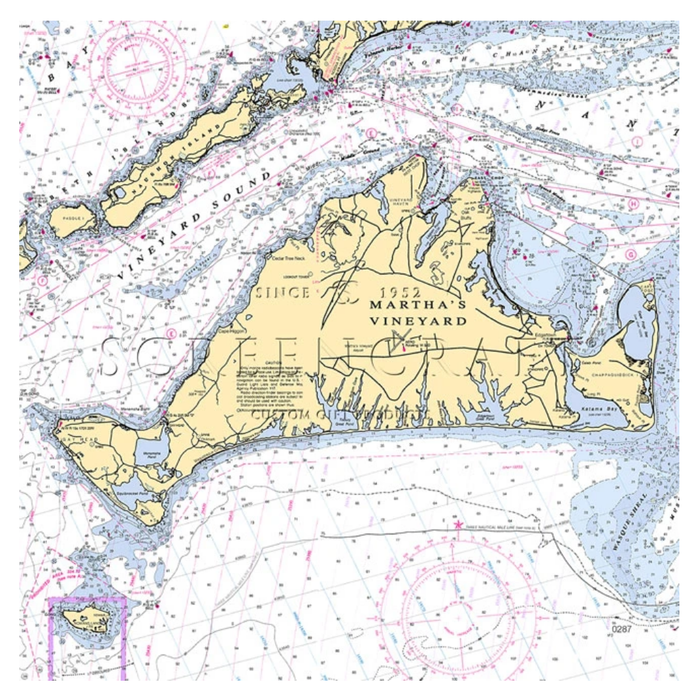 Martha's Vineyard Coaster